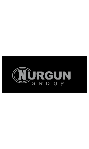 Nurgun Group